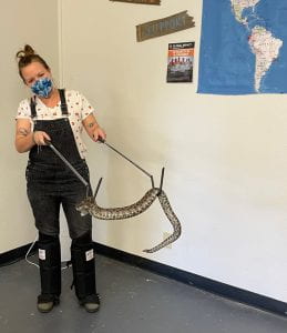 Dr. Balloffet in a venomous snake handling class